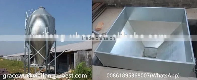 Full automatic africa farm poultry equipment for chickens