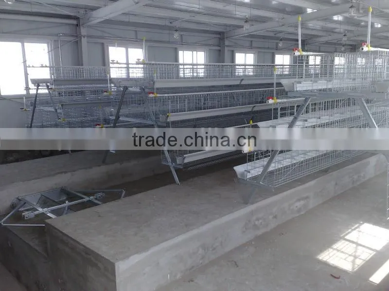9WCD 4 Tiers A-Type Hot Galvanized Hot Sale Chicken Coop