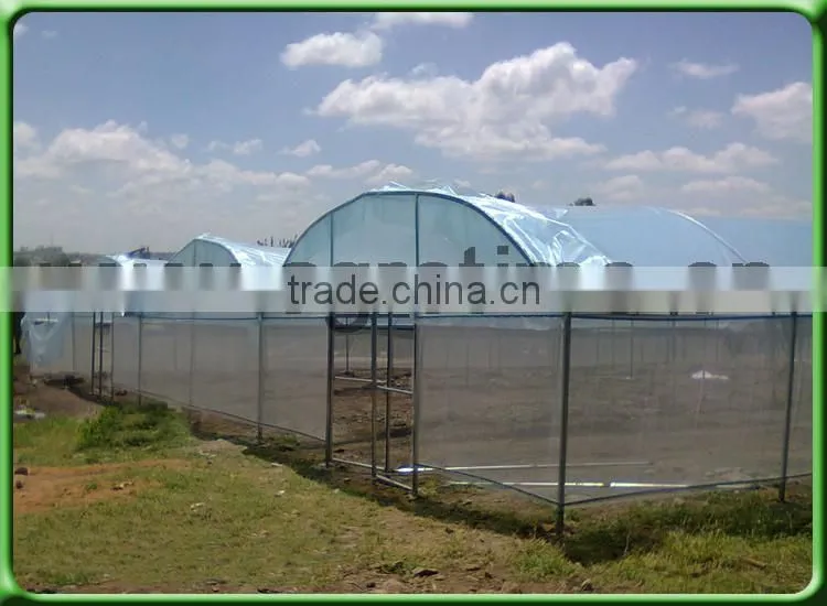 Multi-span Greenhouse low cost greenhouse agricola for Africa
