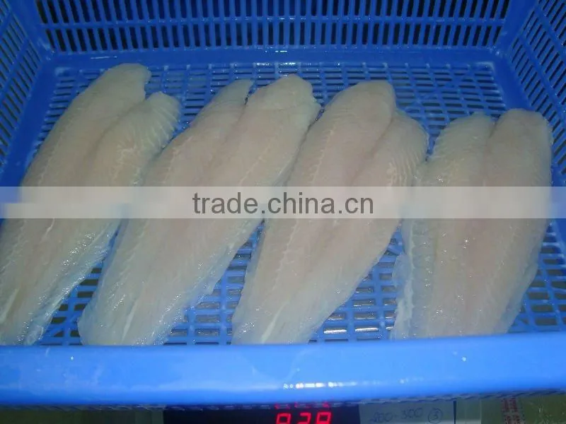 New Pangasius fish fillet ( Tra - basa)