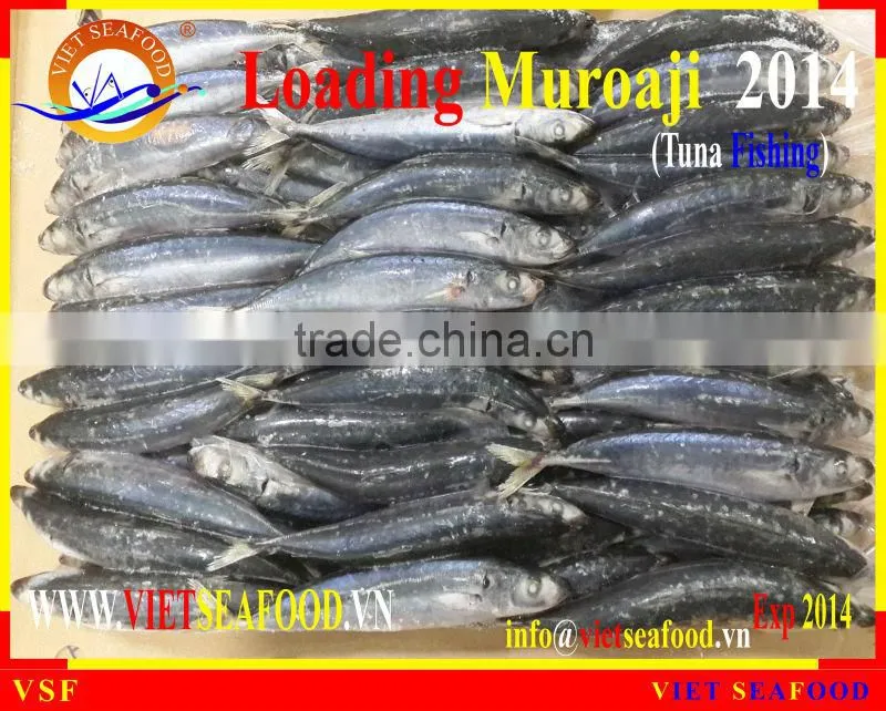 LOADING MUROAJI FOR TUNA BAIT