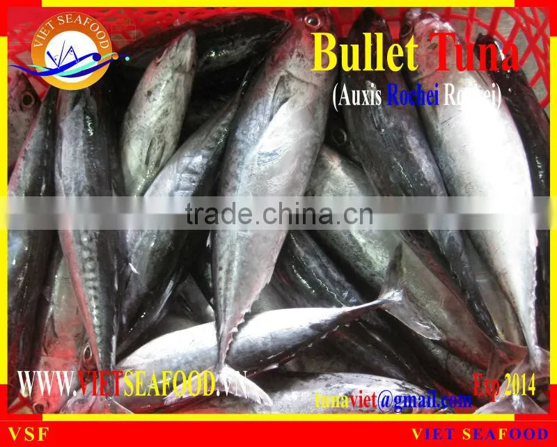 W/R BULLET TUNA