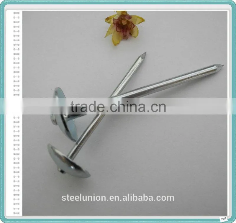 Hot Supply Galvanized Umbrella Head Roofing Nails