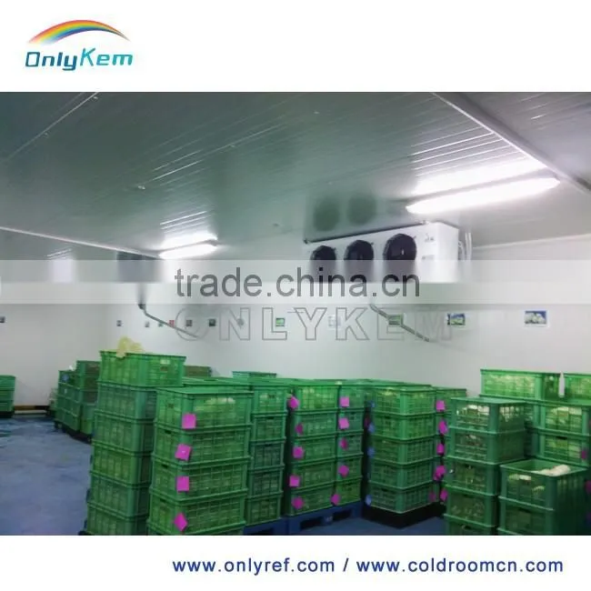 fruit and vegetable cold room , sandwich panel cold room , mini cold storage