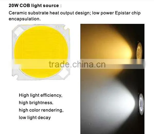 2*20W ra>80 ceiling light China hot sale COB LED downlight with CE ROHS