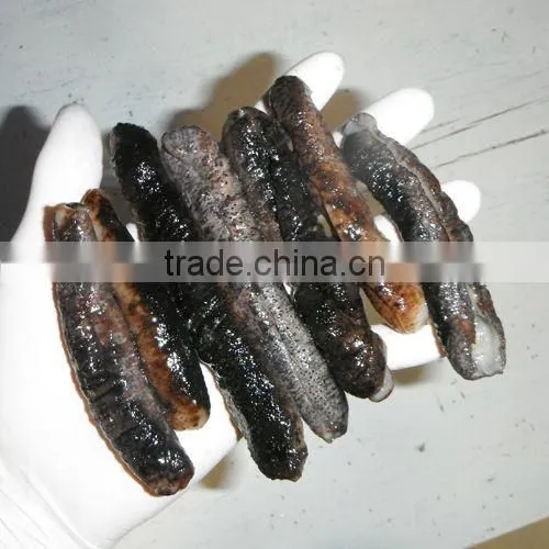 Dry Sea Cucumber Vietnam, Lolly Fish, Holothuria Atra