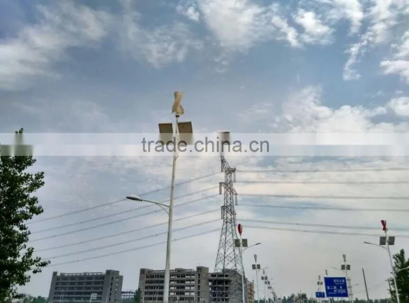 AC 100w micro high efficiency wind generator