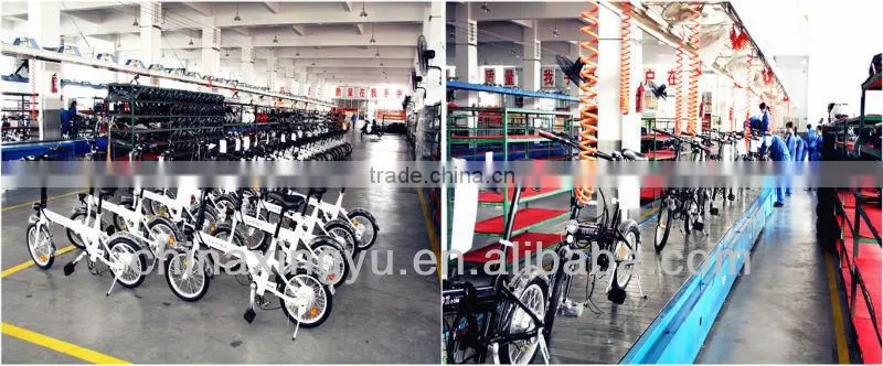 cheaper electric bike XY-TDE03ZA