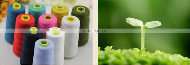 2015 new winter fashion wedding percale egyptain cotton bed sheets