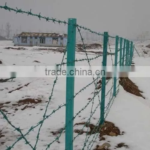 Galvanized Barbed Wire