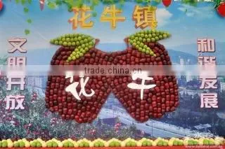 Tianshui Jia Wei Commercial And Trade Co., Ltd. company overview - view 3