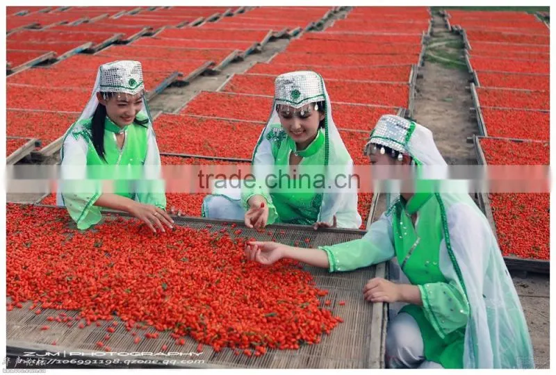 Nutrient-dense goji berry