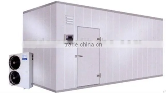 Modular storage freezer