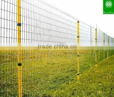 PVC coated holland welded fence (Anping supplier)