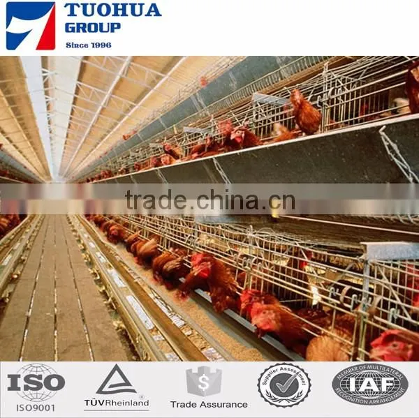 200x220x210cm chicken breeding cage