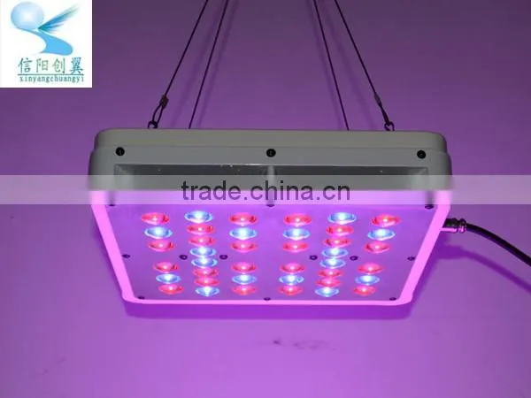 lowest price ce rohs fcc pse approved 5w epiled chip area led grow lights