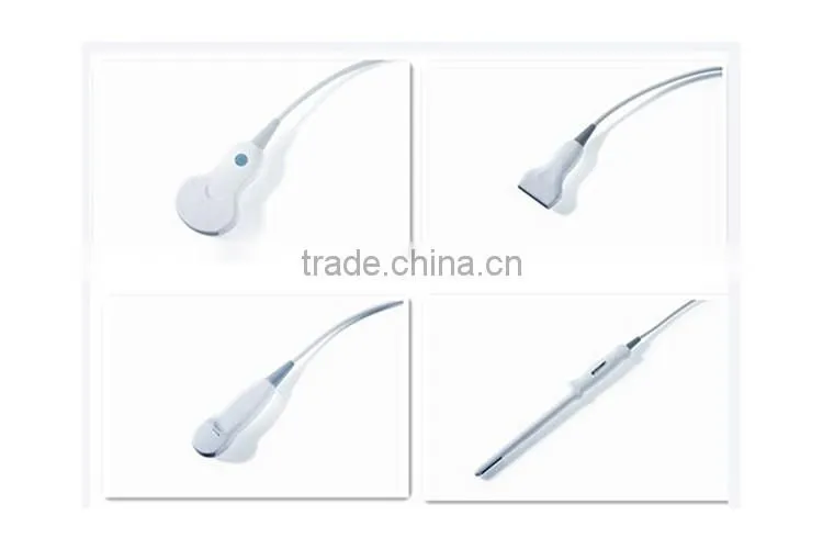 China beijing 10.7 inch color LCD 2B Ultrasound Imaging System laptop ultrasound scanner with CE ISO Approved