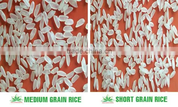 BEST JAPONICA ROUND RICE <5% BOKEN> - CHEAPEST PRICE_HIGH QUALITY - CURRENT RICE