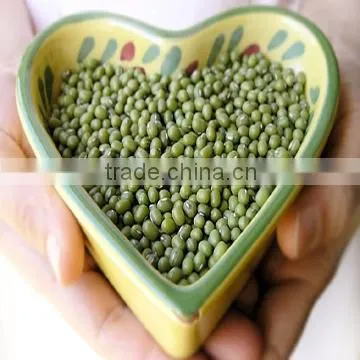 Green Mung bean beans 2010