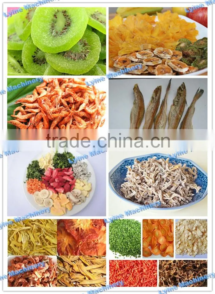 sale Professional commerial fruit dryer machine for banana chips