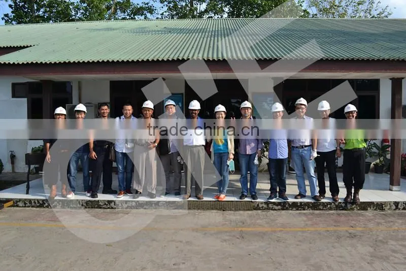 Hot in indonesia! Palm kneral oil refining plant/crude palm oil refining equipment