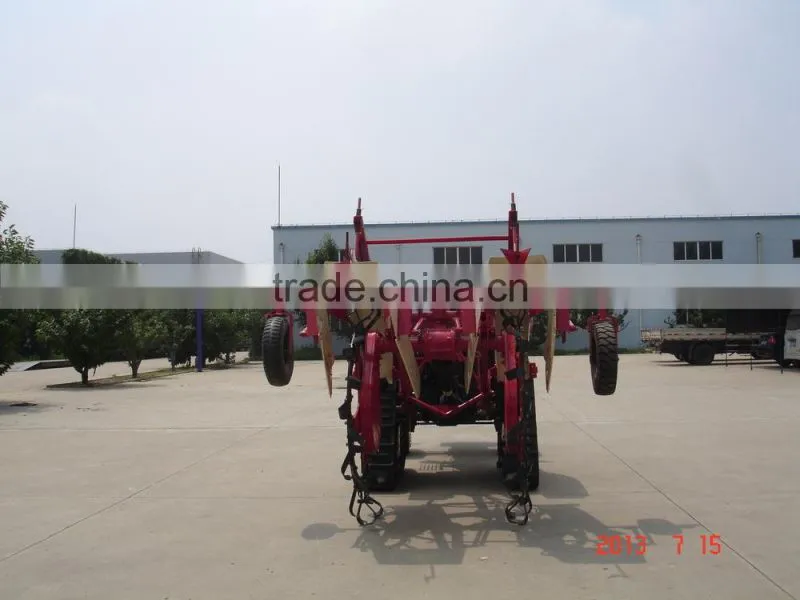 Long rhizome crops ditcher and scarafying machine