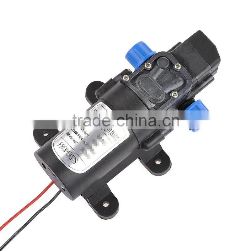 Hot Sale Car Wash Micro Diaphragm High Pressure Water Pump with Automatic Switch