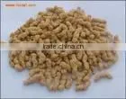 Protein Food Production Line