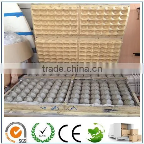Pulp Molding Toolings/Pulp Molding Moulds/Moulds for Molded Pulp Products