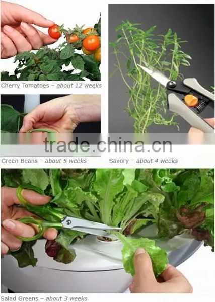 Mini farm smart farm smart mini garden