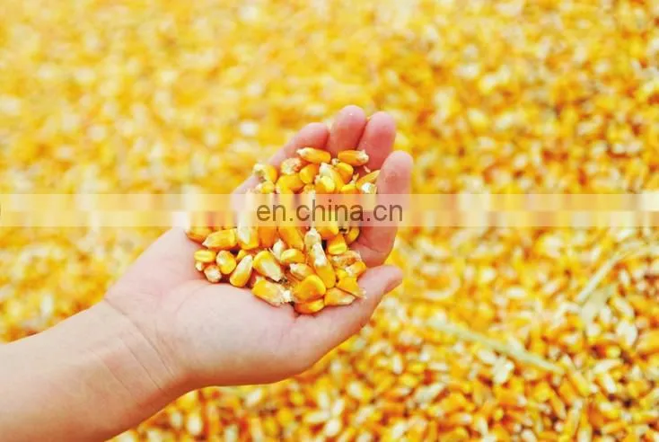 High quality fodder mixing equipment/feedstuff crushing machine/animal feed grinding machine