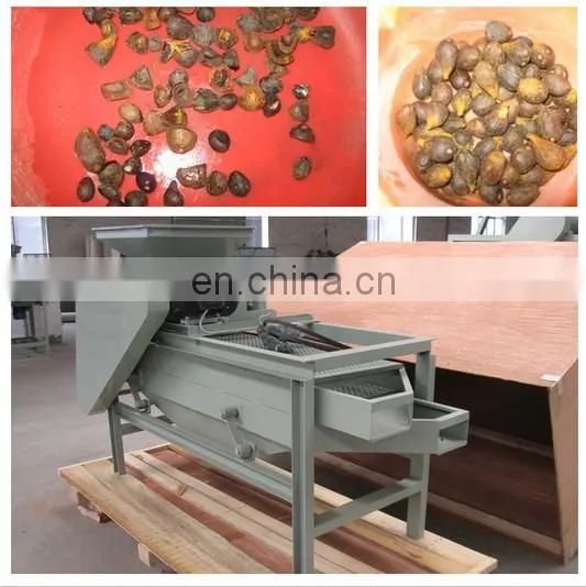 Best selling hazelnut shelling machine,hazelnut huller,hazelnut cracking machine 008613838527397