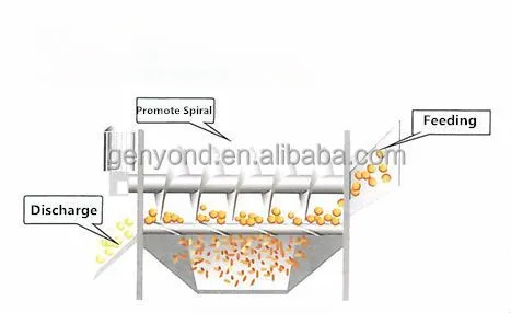 Factory Genyond Sweet Potato/ Onion/walnut/ Carrot Brush Washer Washing Machine Peeling Cleaning Machine