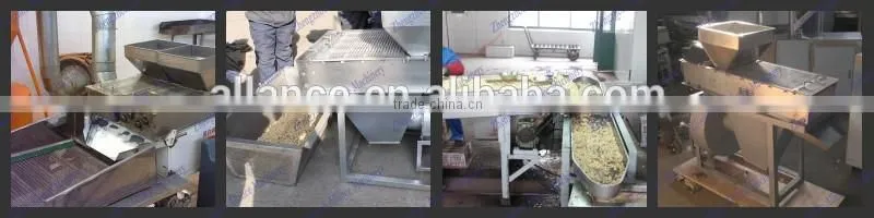 Exported to Negeria peanut skin removing machine for peanut processing