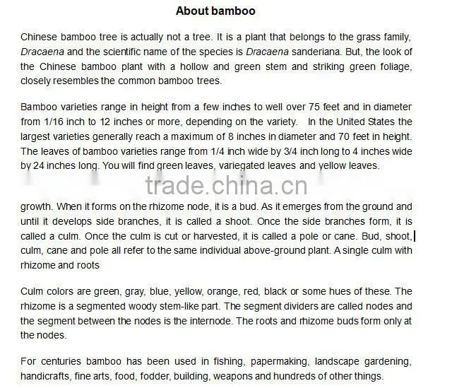 funny colorful prints bamboo fiber hot plate set,bamboo custom serving dishes