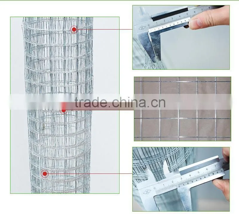 Vinyl Coated Welded Wire Mesh,CE Certification