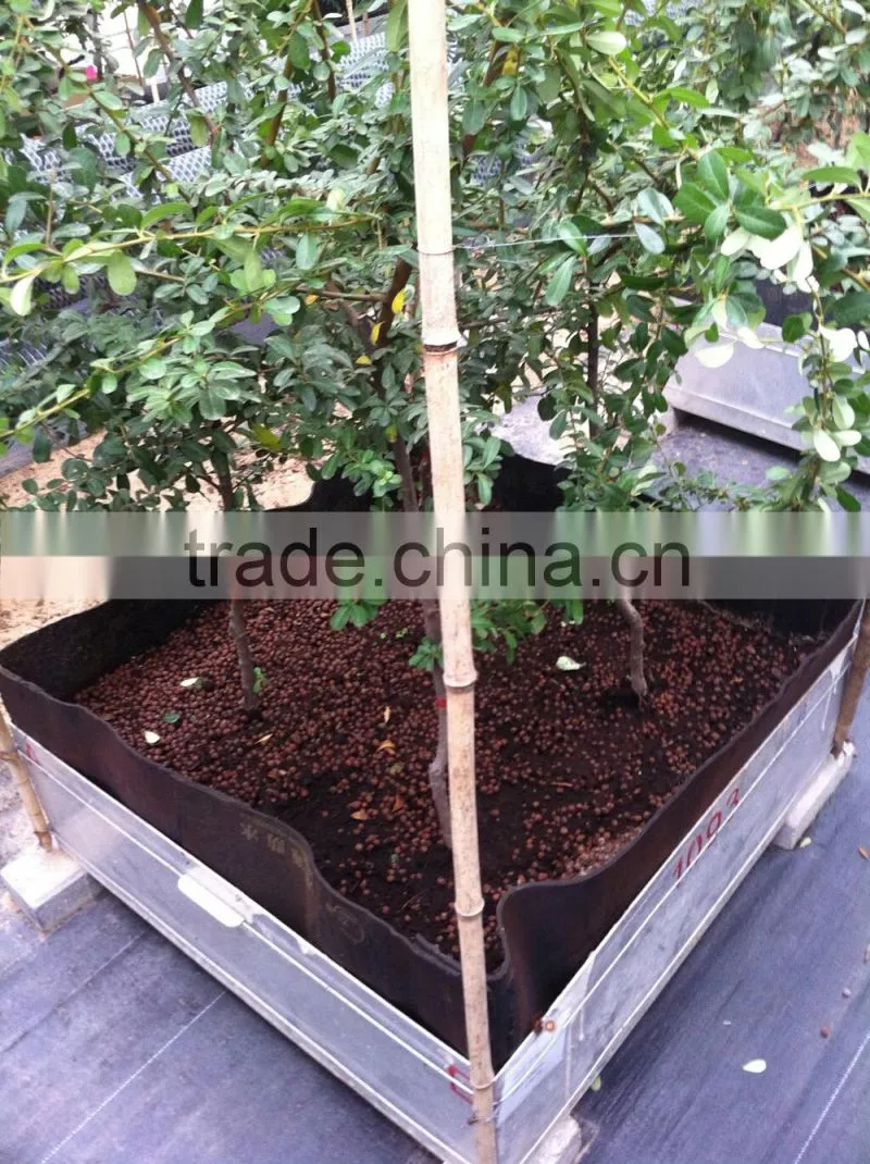 Modified Bitumen Chemical Anti-Root Puncture Waterproof Membrane