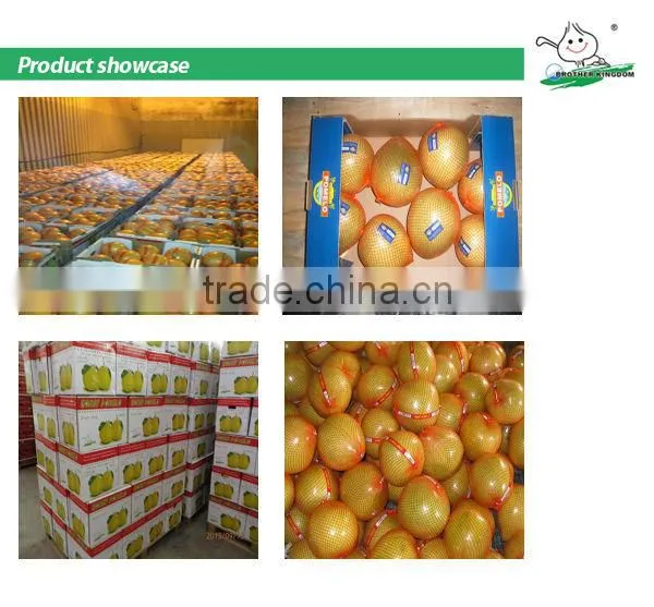 China fresh pomelo from Brother Kingdom