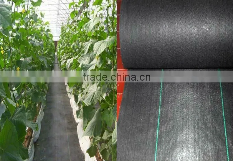 Newest weed barrier /weed control fabric