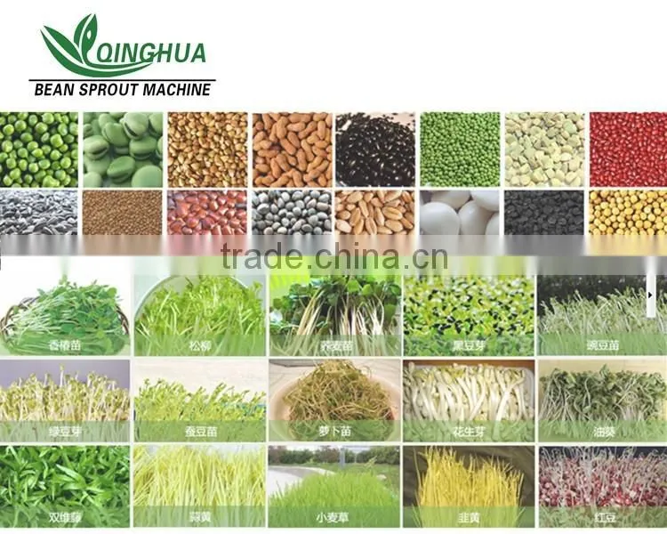 China hot selling Automatic Barley Sprouting machine