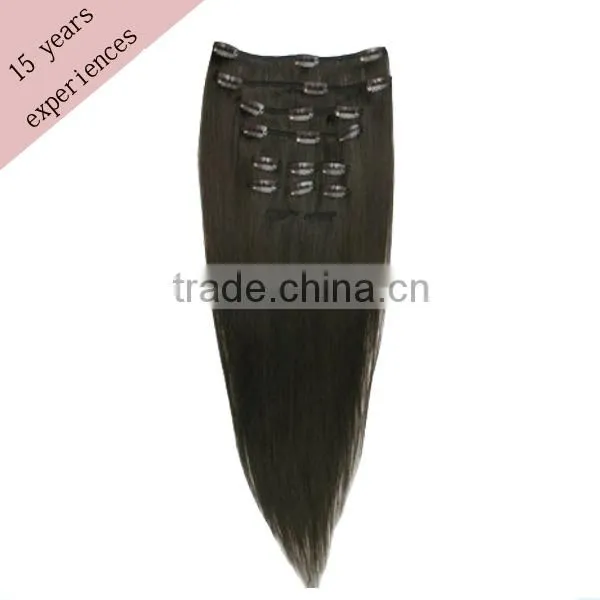 clip in human hair extension