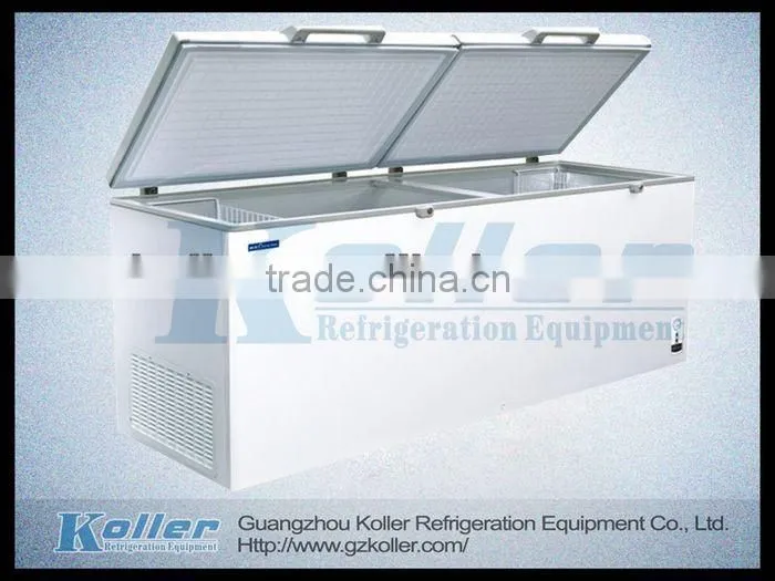 550L Double Doors Chest Deep Freezer BD-550