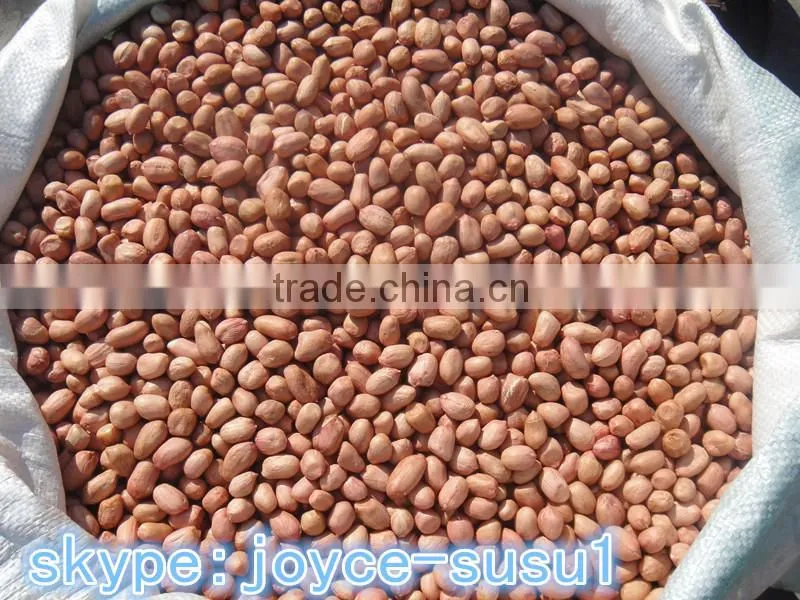 chinese java peanuts kernels