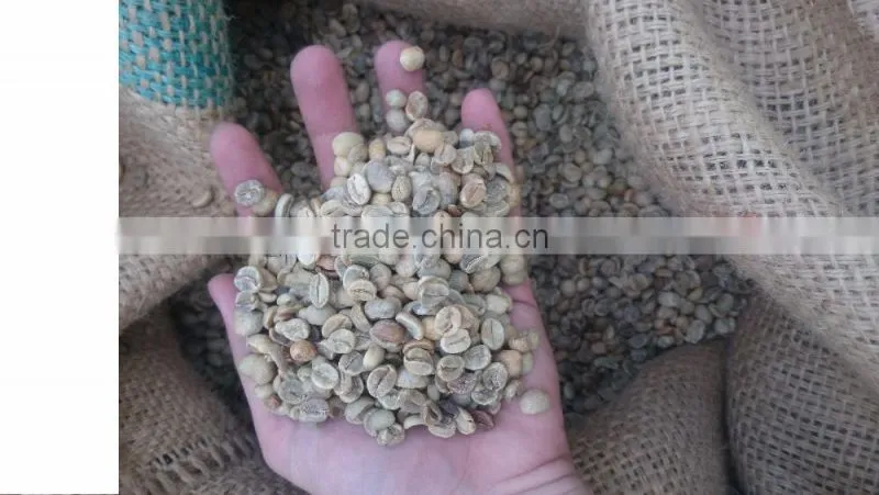 ARABICA GREEN COFFEE BEANS- High quality