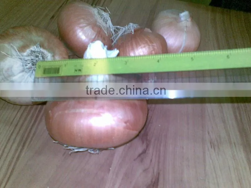 Onion ( Yellow - red - white ) crops 2014