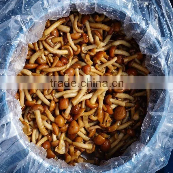 Chinese cultivated honey mushroom