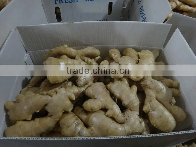 Chinese fresh ginger