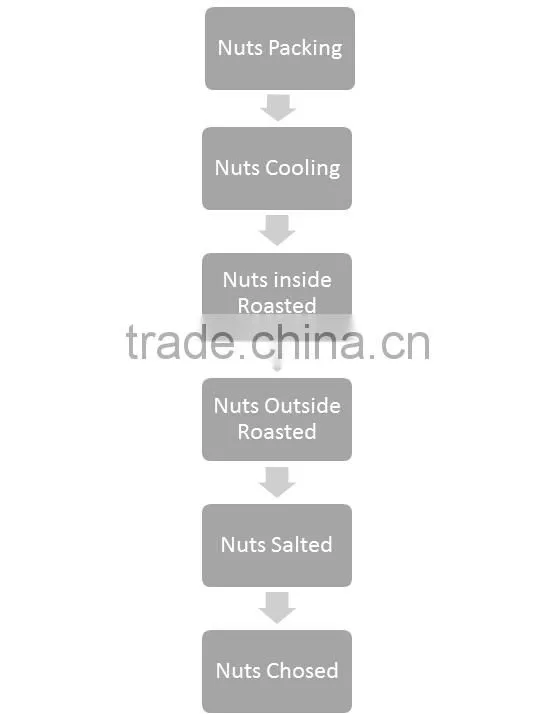 Stainless Steel 304 - Cashew Nuts Processing Line, Stainless Steel 304 - Nut Machines