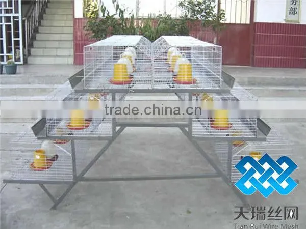 hot-sale good quality poultry farm layer chicken cage