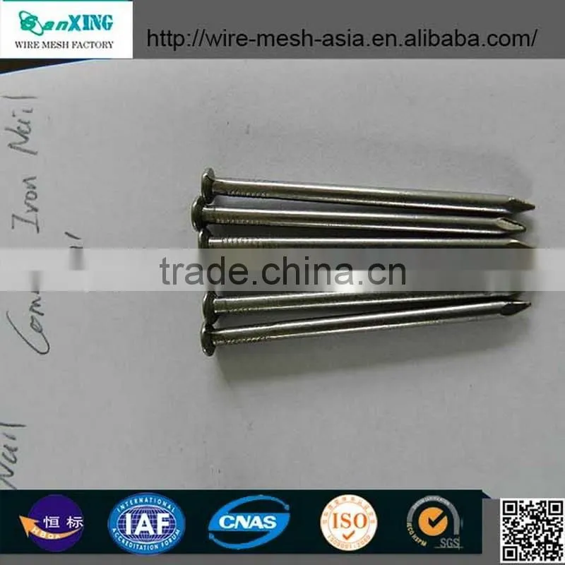 Sanxing common nail one of biggest manufacturer in Anping